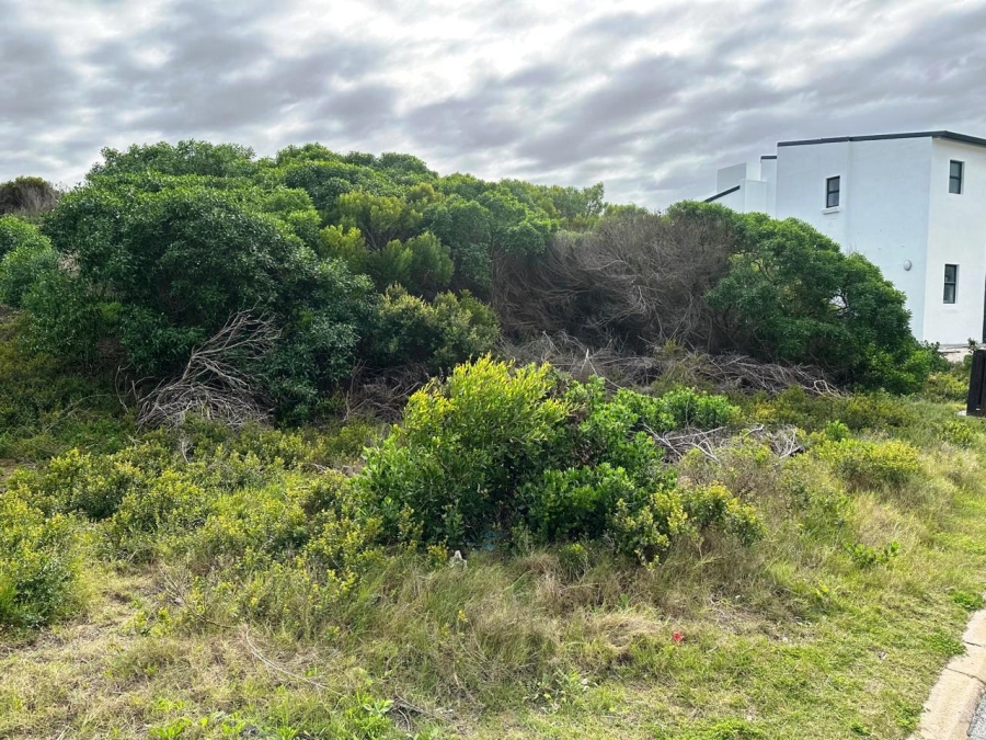 0 Bedroom Property for Sale in Stilbaai Oos Western Cape